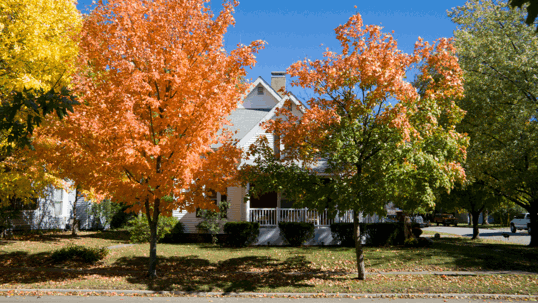 An inviting fall residential scene.