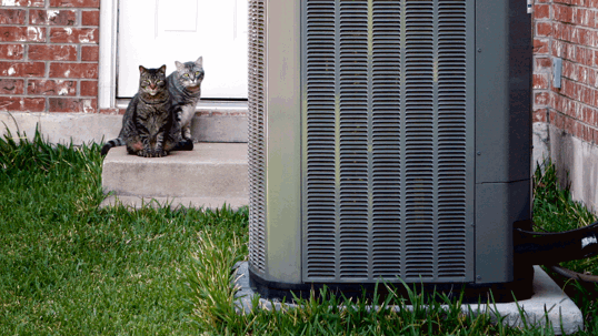 HVAC outdoor unit