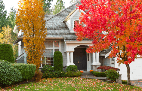 A gray house in autumn with vibrant red and yellow trees.
