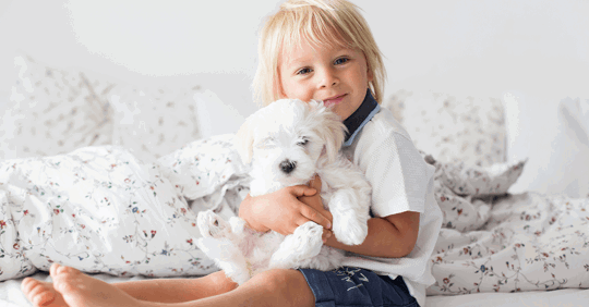 A kid hugging her white teddy bear